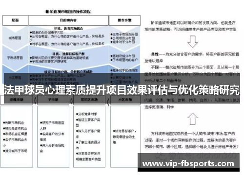 法甲球员心理素质提升项目效果评估与优化策略研究