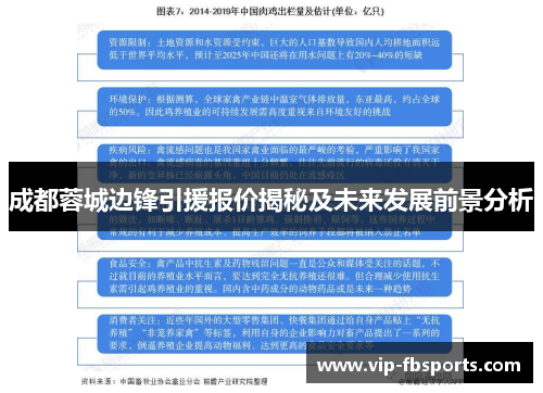 成都蓉城边锋引援报价揭秘及未来发展前景分析