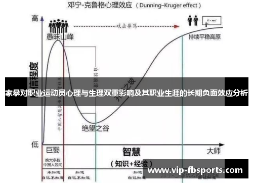 家暴对职业运动员心理与生理双重影响及其职业生涯的长期负面效应分析