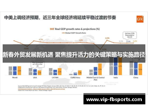 新春外贸发展新机遇 聚焦提升活力的关键策略与实施路径