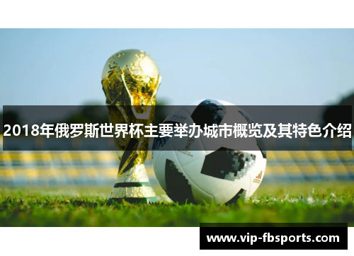2018年俄罗斯世界杯主要举办城市概览及其特色介绍